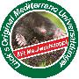 Bild vergrössern