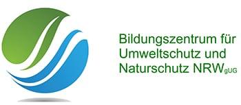 Bild verkleinern